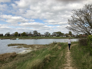 A good walk is one of the many things that can clear the left side of your brain…