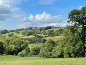 During the initial creative phase, I go on long creative walks from my Wiltshire village